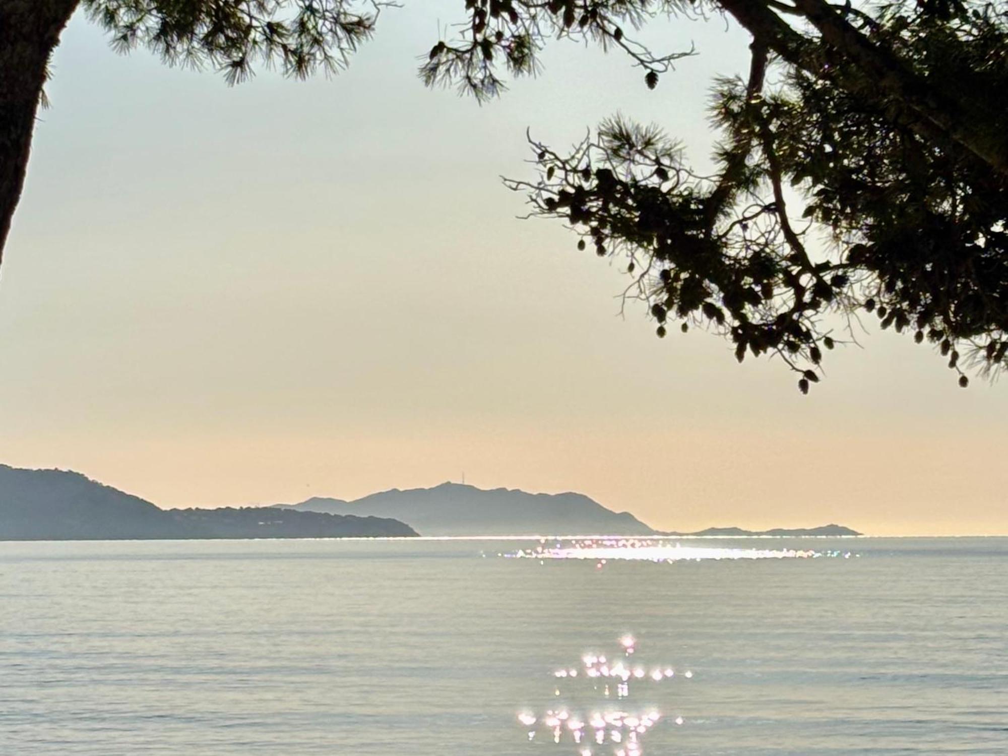 Aloha Climatise Parking By Laconciergerie13 ลาซิโอตาต์ ภายนอก รูปภาพ